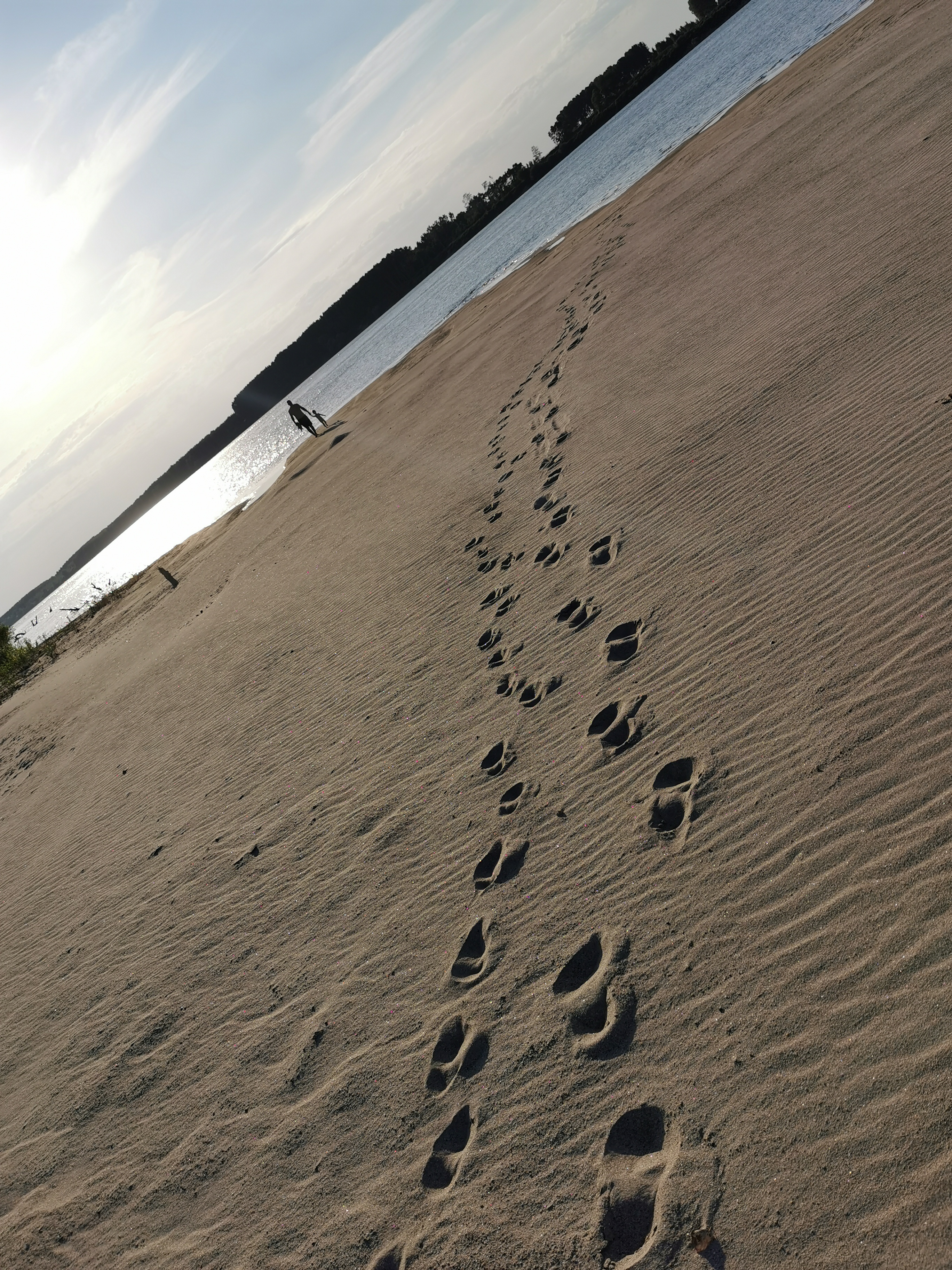 Danube Experiences, Vidin